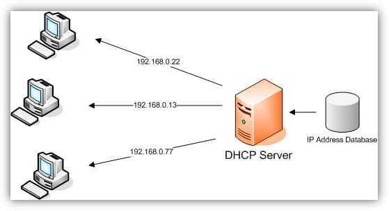 Cài đặt DHCP Server trên Ubuntu