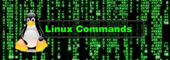 26 lệnh cơ bản trên Linux Server